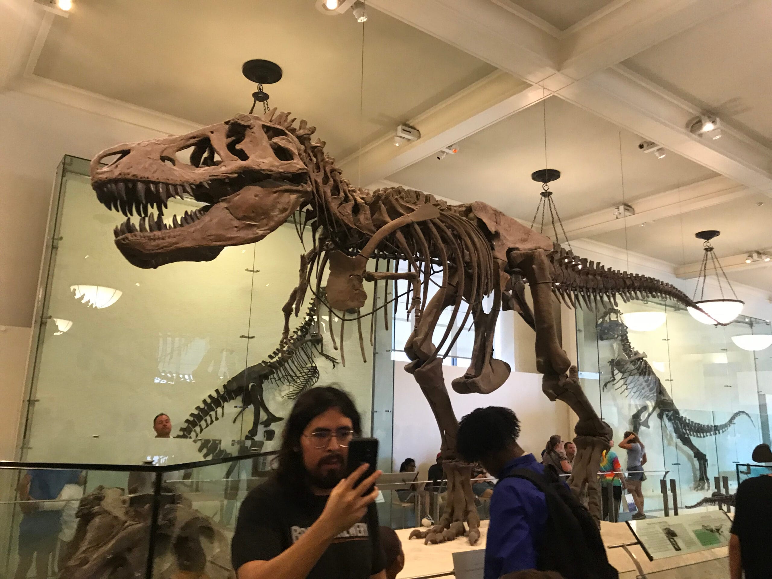 Protected: GDE740, weeks 5 & 6